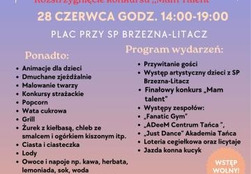 Rodzinny Piknik Wakacyjny w Brzeznej-Litacz