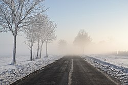 Ostrzeżenie meteorologiczne - gęste mgły